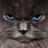 kevinyi
