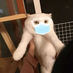 chaiqingao