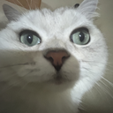 PiktCai