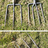 lioldsix