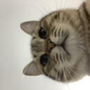 LiaoMatt