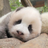 XiAoHUiHUi10