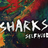 sharks