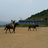 yokfengyue126