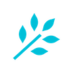xiangguang