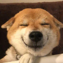 penguinchow