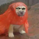 xuweitao666