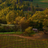 yancb0902