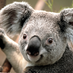 tys
