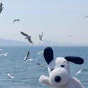 Joker520