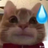 vkmYVrJR