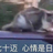 buaichifan