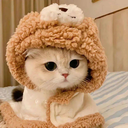 kwistzzqq