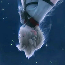 Noctus