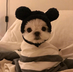BIbestbest