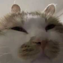 psxf