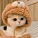 TYchen