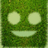 greendyj