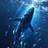 bluewhaledesigne