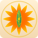WangTaiyang