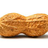 trendzi