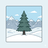 cedarwood