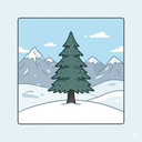 cedarwood