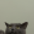 jyhong