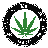 pot