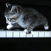 jixiangac