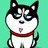 HuskyHao