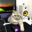 celerysoft