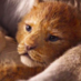lion0218