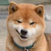 northeastwolf