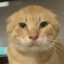 jiaopengpe