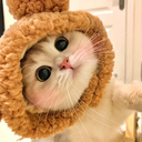 chenjackyaya