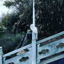 royfk