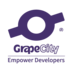 GrapeCityChina