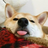 returnNull