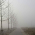 csuzhangxc