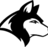 dearqjn11