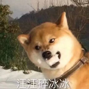 wuweichenrunguo