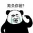 pandacat