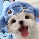 goodboy123