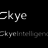 SkyeIntelligence