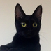 littleblack
