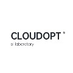 cloudopt