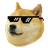 widowcat
