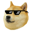widowcat