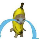 CEBBCAT